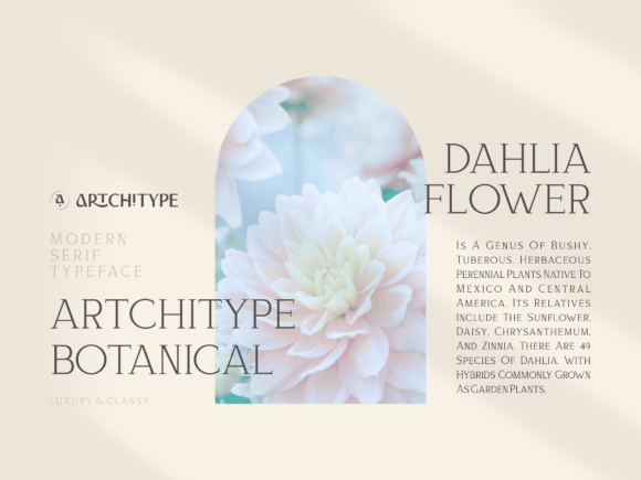 Bloomy Korea Font - Preview 4