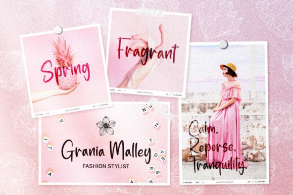 Blush Boutique Font PNG with transparent background - Preview 2