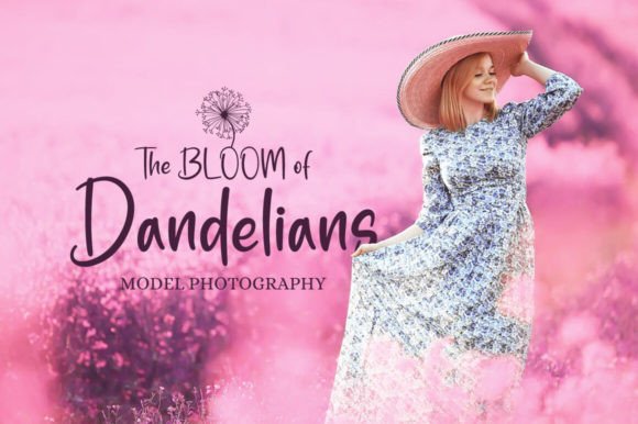 Blush Boutique Font PNG with transparent background - Preview 4