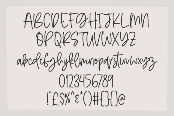 Canilea Script Font - Preview 2