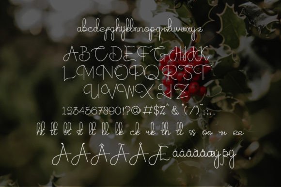 Cranberrian Font - Preview 4