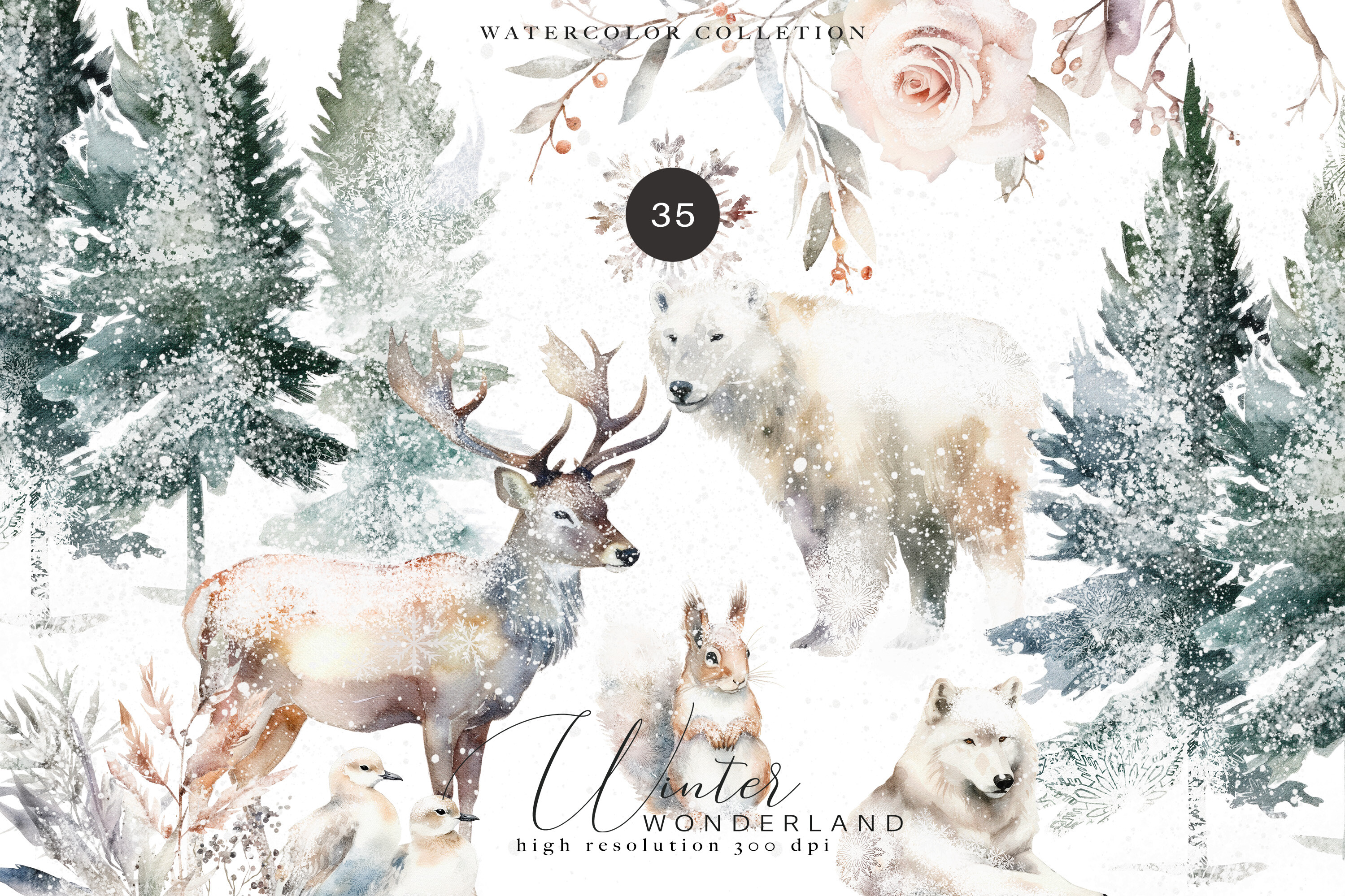 Evergreen Watercolor Clipart - photo 1