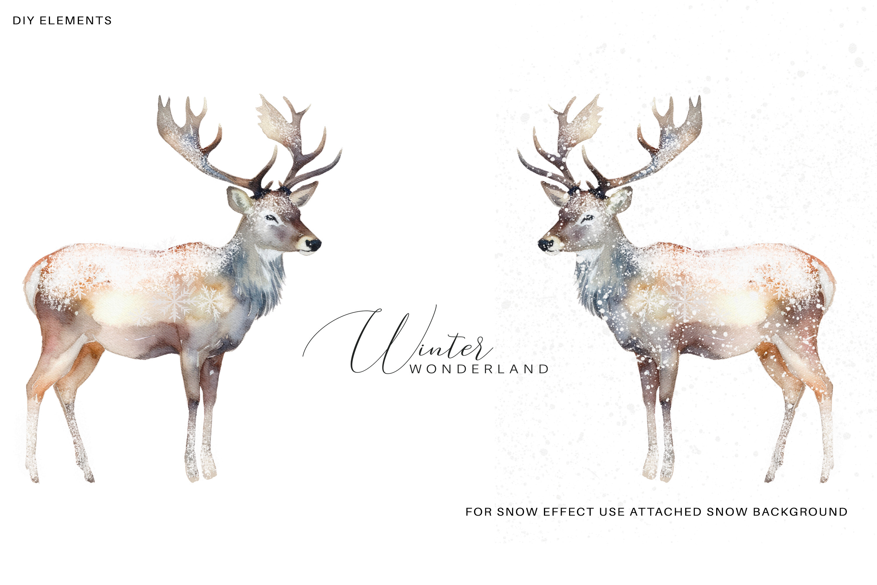 Evergreen Watercolor Clipart - photo 2