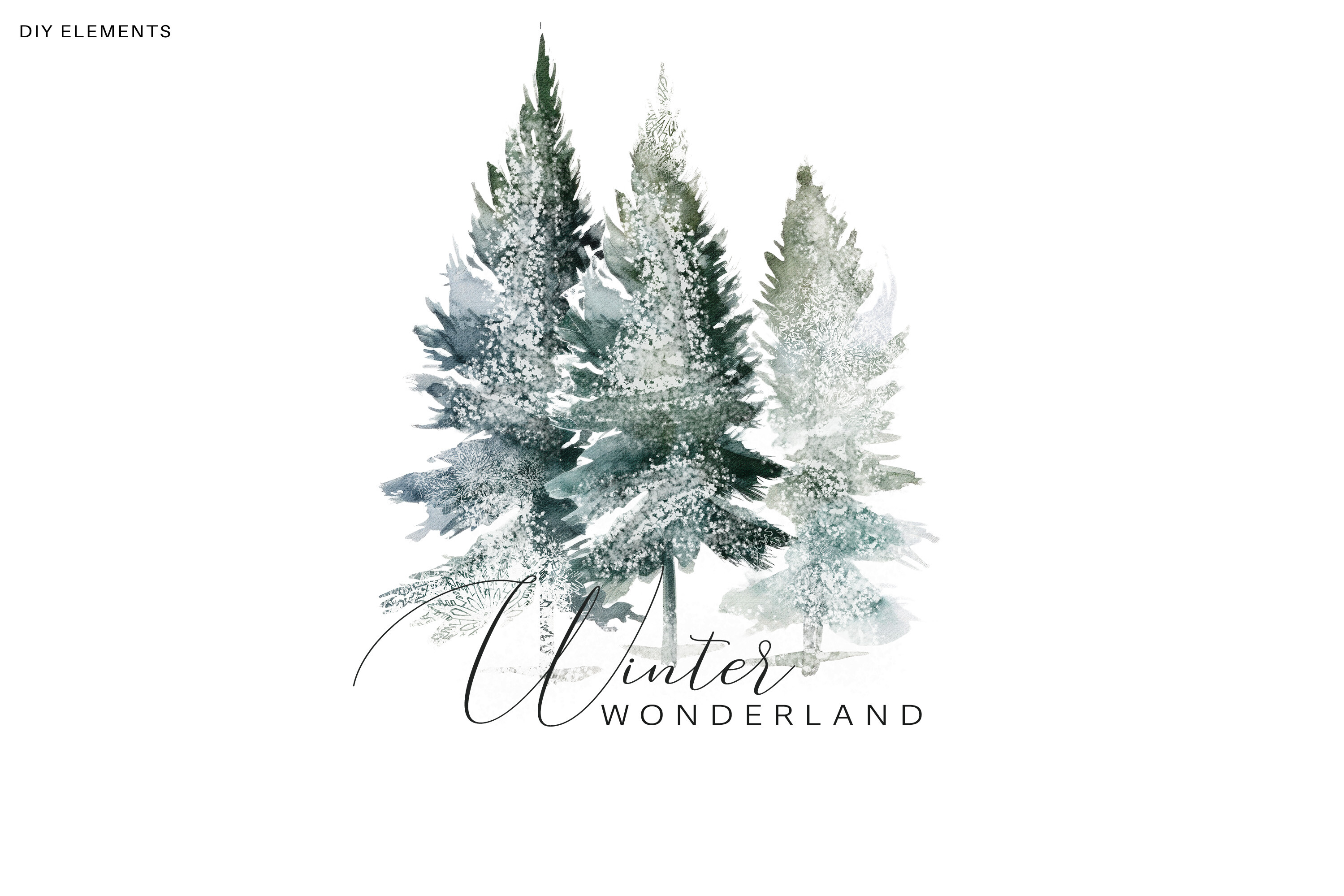 Evergreen Watercolor Clipart - photo 4