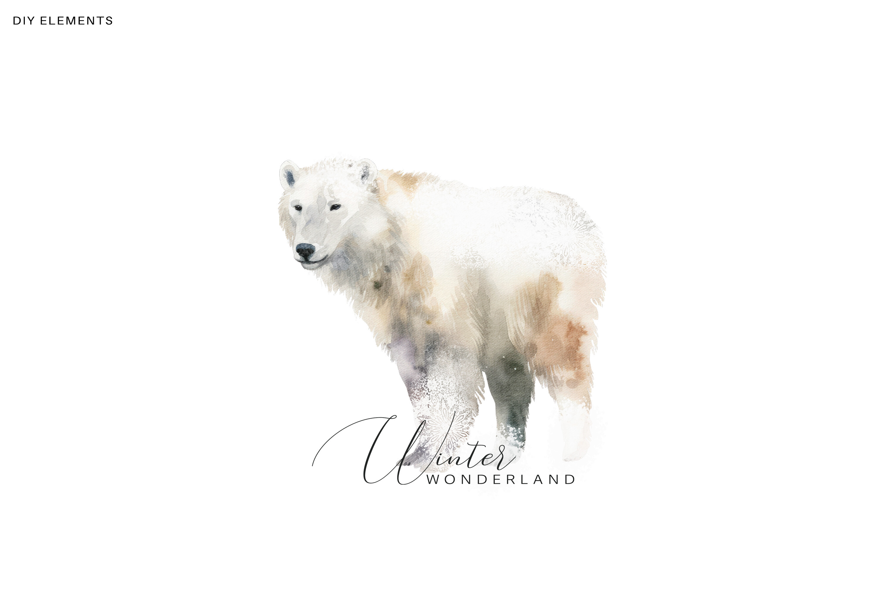Evergreen Watercolor Clipart - photo 5