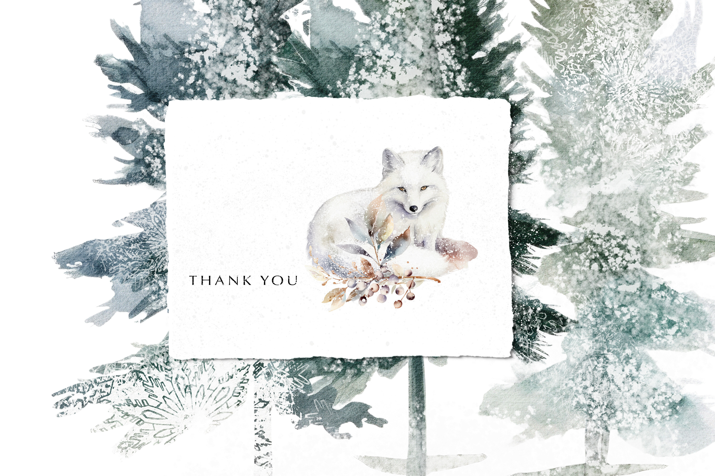 Evergreen Watercolor Clipart - photo 6