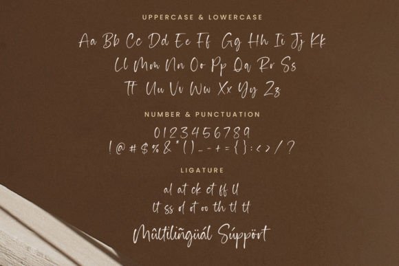 Haiden Smith Font - Preview 5