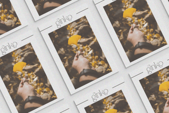 Shoogie Font PNG with transparent background - Preview 2