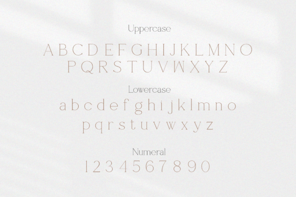 Shoogie Font PNG with transparent background - Preview 3