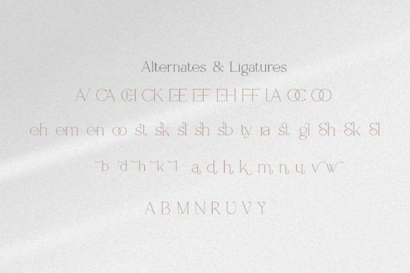 Shoogie Font PNG with transparent background - Preview 4