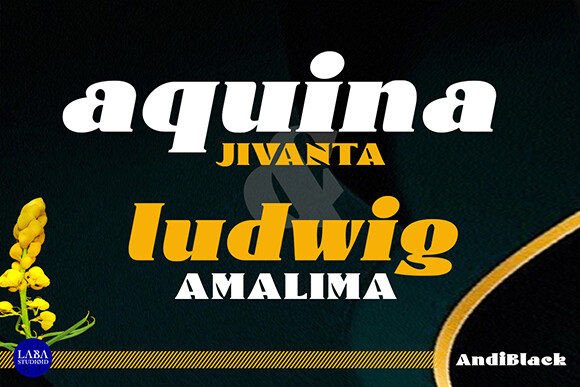 Andi Black Font - Preview 2
