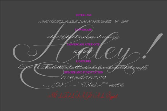 Haley Font - Preview 1