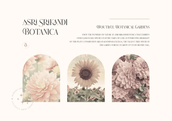 Prince Waskita Font PNG with transparent background - Preview 4