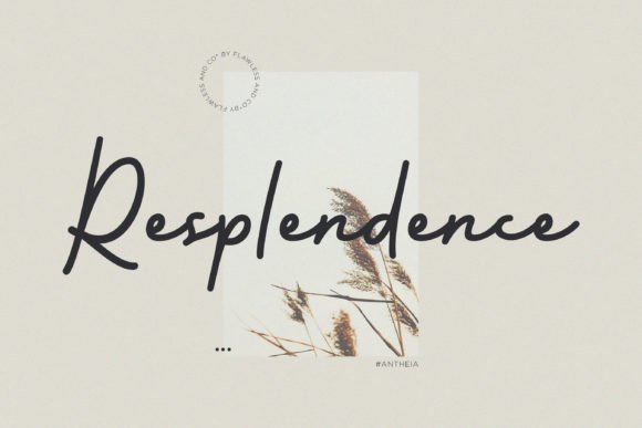 Antheia Font - Preview 6