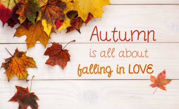 Autumn Font - Preview 1