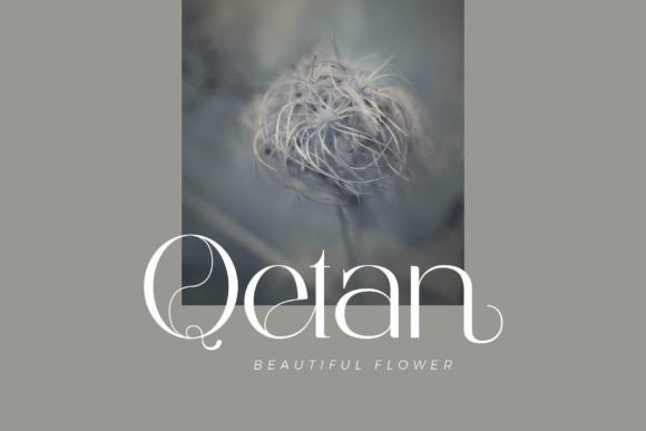 Bagelan Font - Preview 2