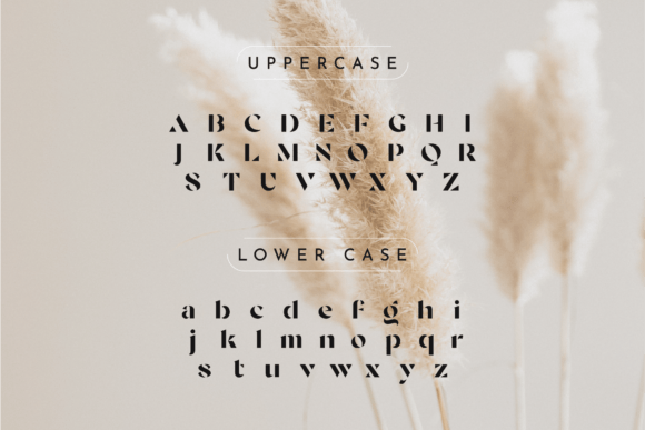 Elda Font - Preview 2