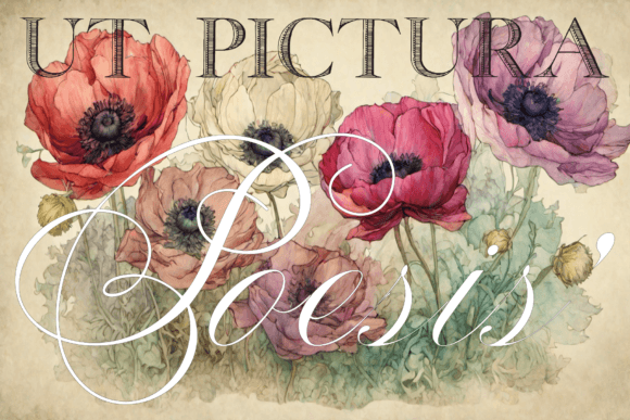 Penabico Cyra Duo Font font preview - 5