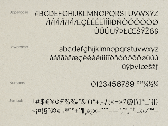 Catologer Font - Preview 6