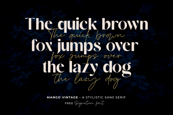 Mango Vintage Font PNG with transparent background - Preview 2