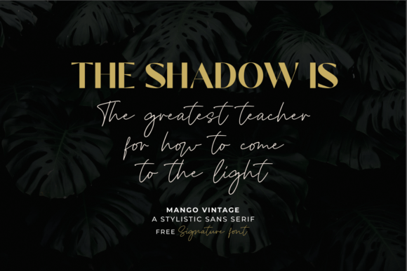 Mango Vintage Font PNG with transparent background - Preview 3