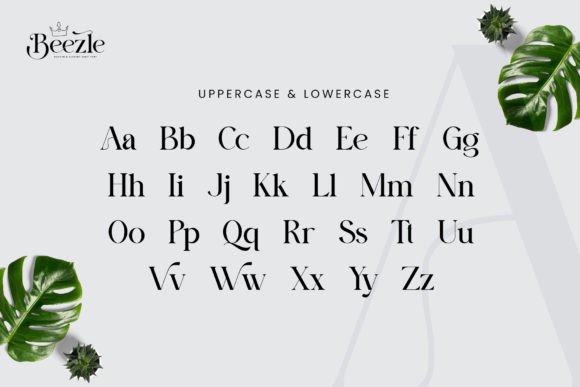 Beezle Font - Preview 5