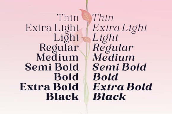 Rosting Gapertas Font PNG with transparent background - Preview 3