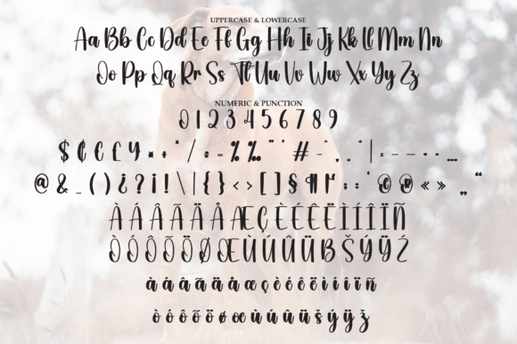Beagle Font - Preview 6
