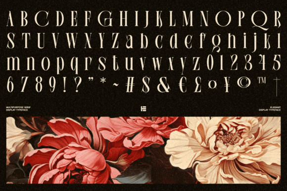 Chelion Font - Preview 4