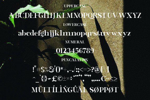 Ghost Rider's Font - Preview 4