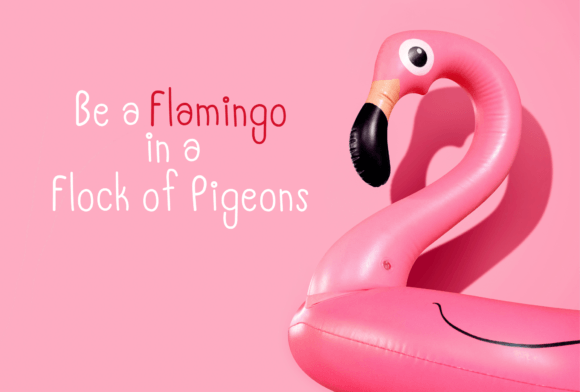 Flamingo Font - Preview 4