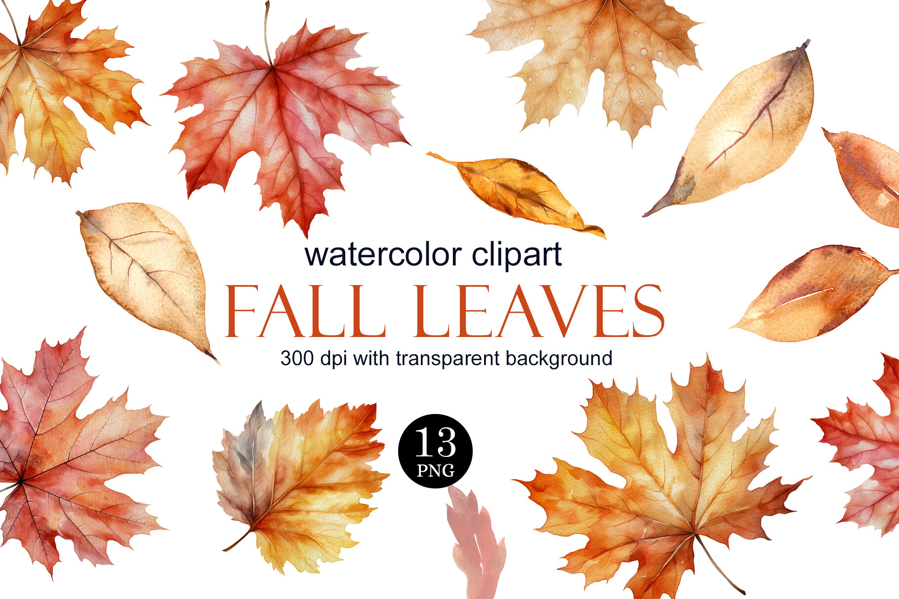 Watercolor Fall Leaves Clipart PNG