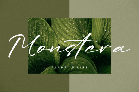 Realista Thiffany Font PNG with transparent background - Preview 2