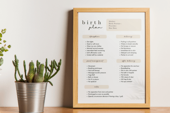 Canva Birth Plan Template