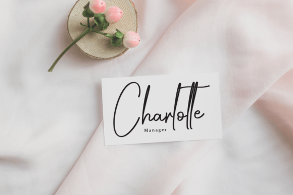 Digital Signature Font - Preview 4