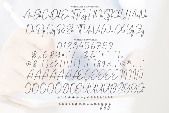 Digital Signature Font - Preview 6