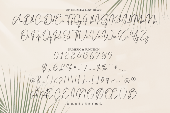 September Signature Font PNG with transparent background - Preview 6