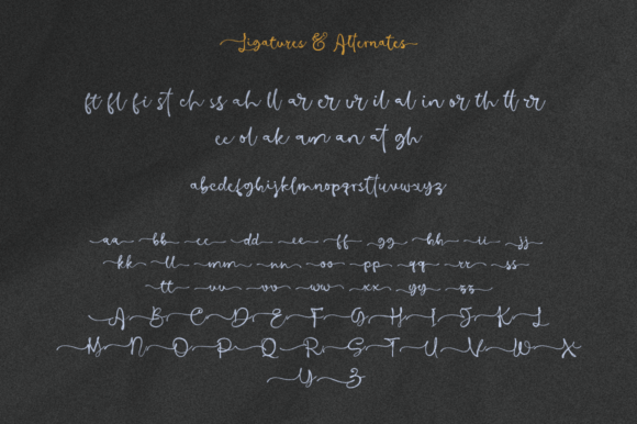 Barona Script Font - Preview 1