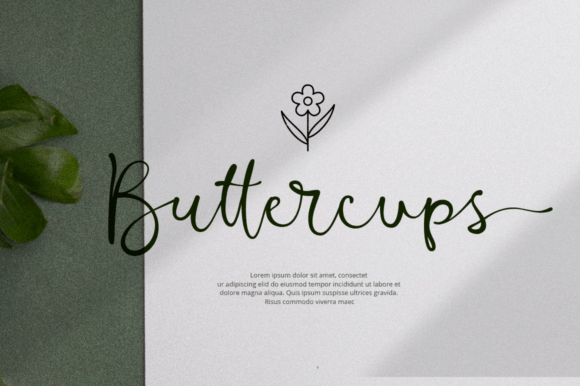 Barona Script Font - Preview 3