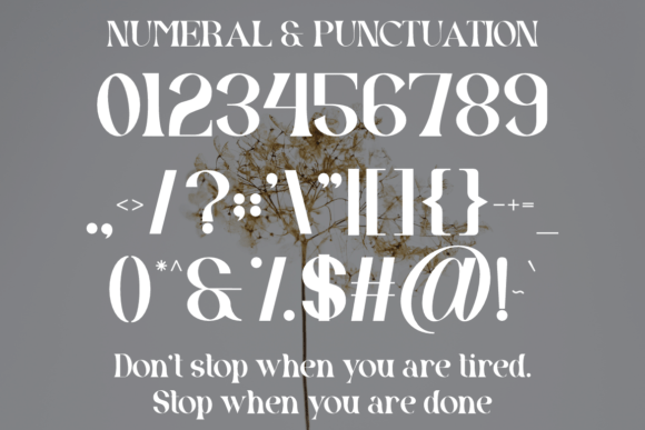 Glody Font - Preview 2