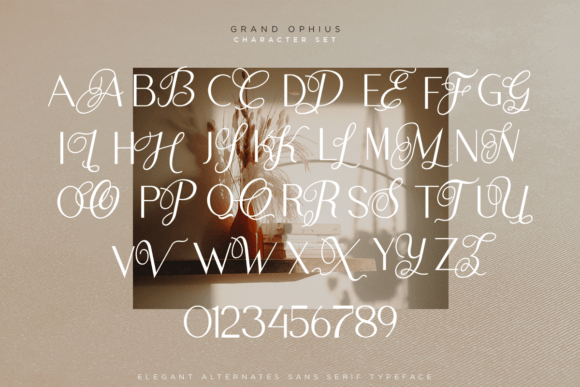 Grand Ophius Font - Preview 5