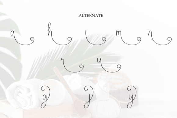 Harmony Font - Preview 6