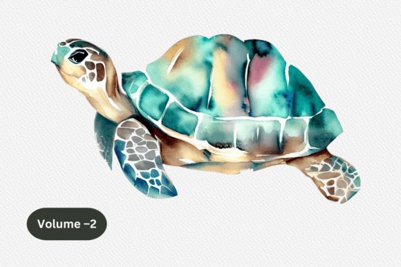 Watercolor Cute Turtle Sublimation Graphics