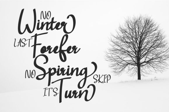 Antigua Font - Preview 5