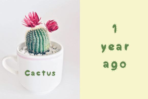 Cactus Font - Preview 4