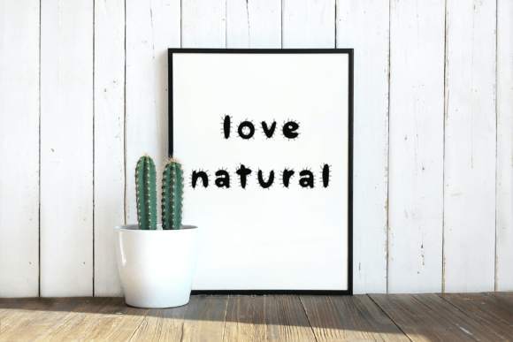 Cactus Font - Preview 5