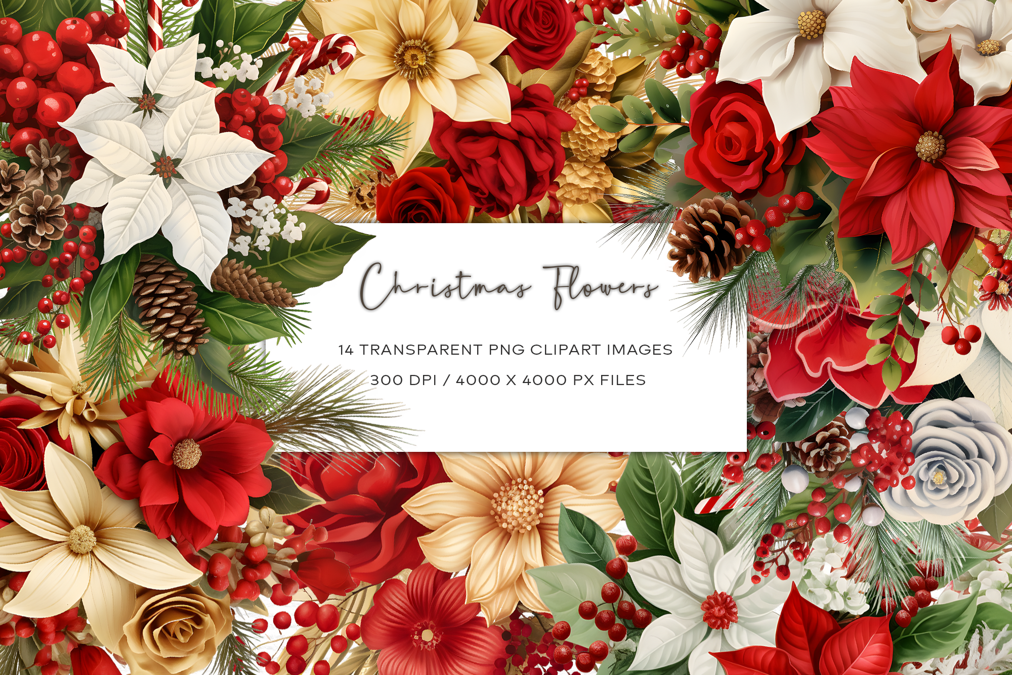 Christmas Flowers Watercolor Clipart Graphic by MNDesigns · Creative ...