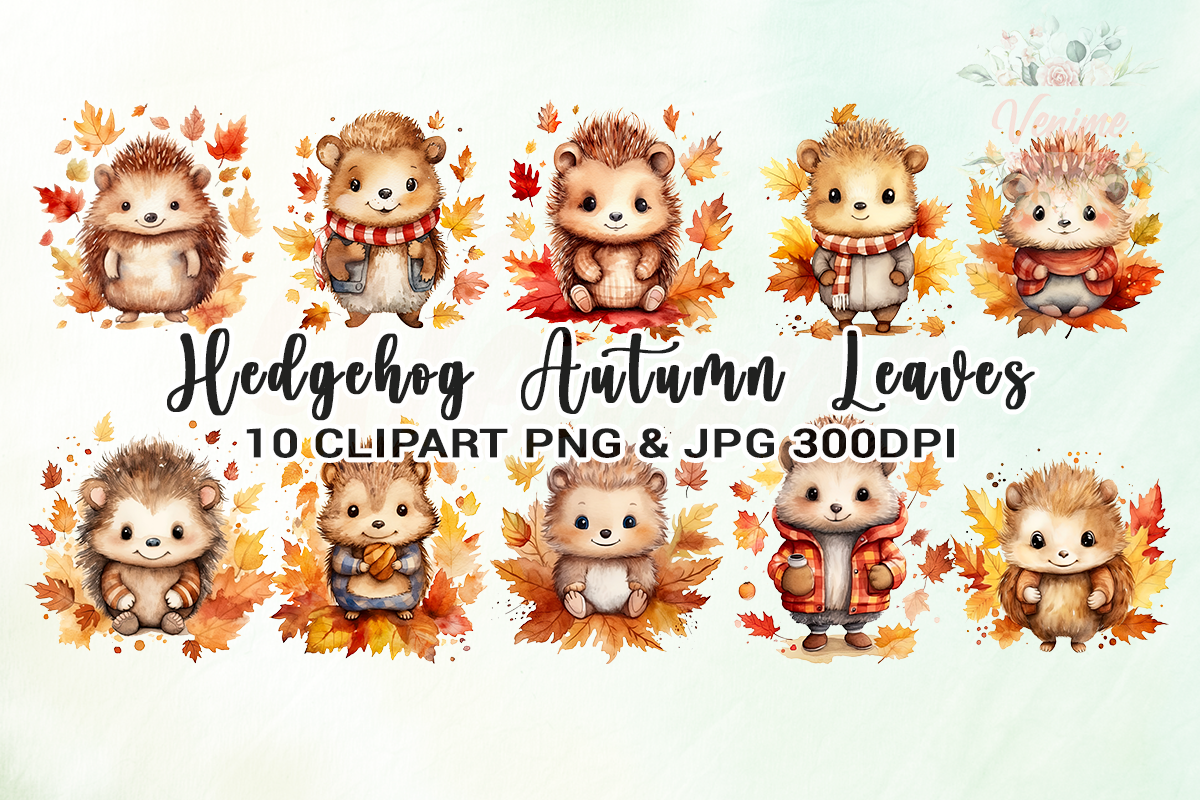 Hedgehog Autumn Leaves Clipart Graphic by Venime · Creative Fabrica