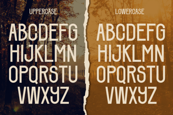 Falling Dried Font - Preview 1