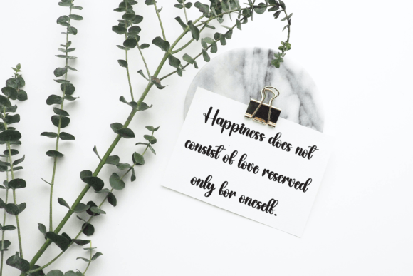 Elegantly Font - Preview 3